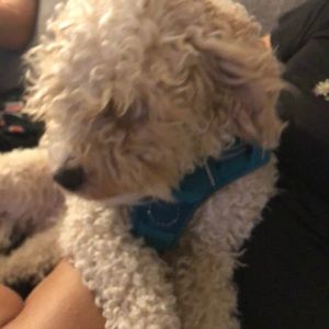 Meet your Posher, Marcos